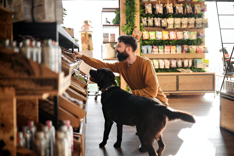 Seasonal Pet Care Tips