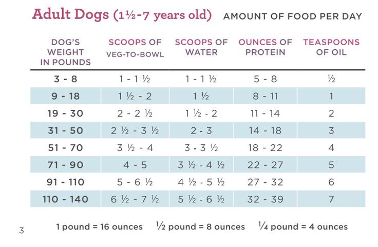 Dogs Diet Chart