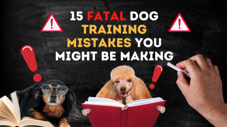 things your dog will never forgive you