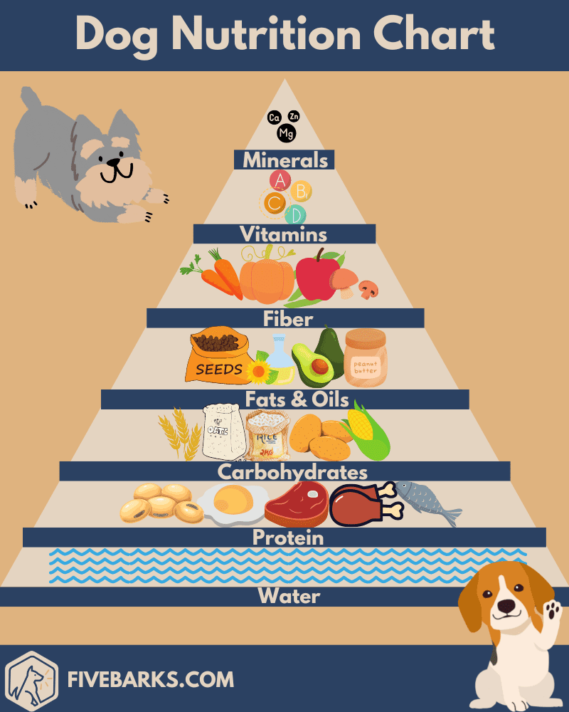 Dog nutrition chart