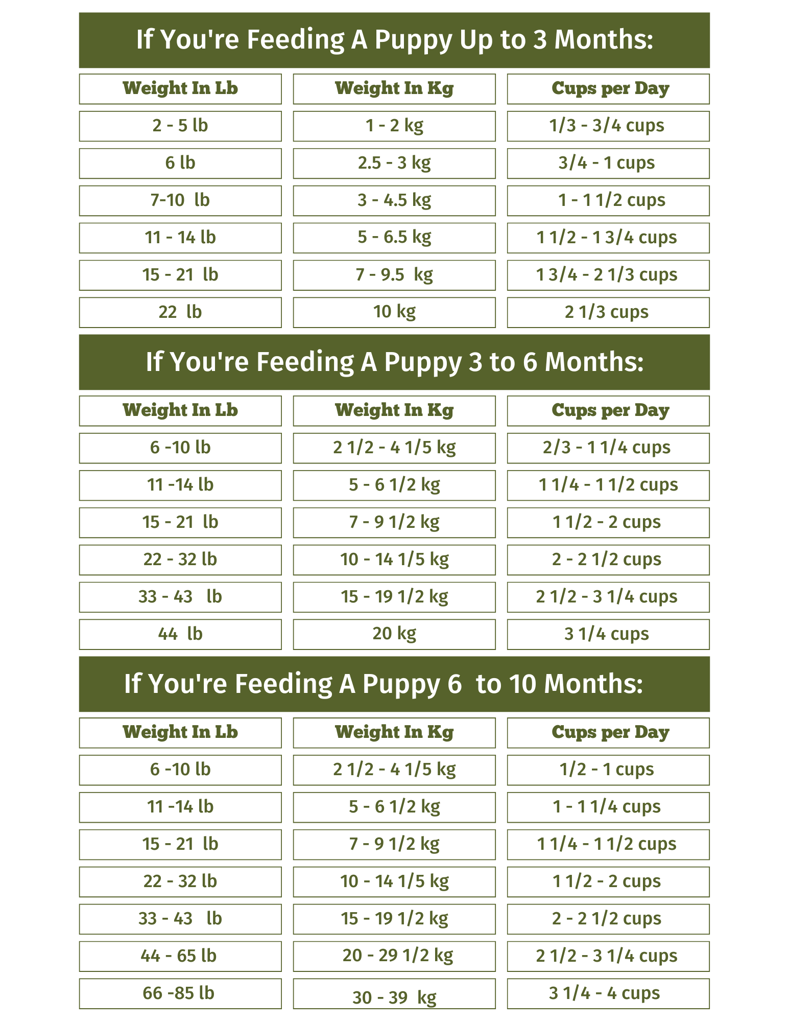 Puppy Feeding plan